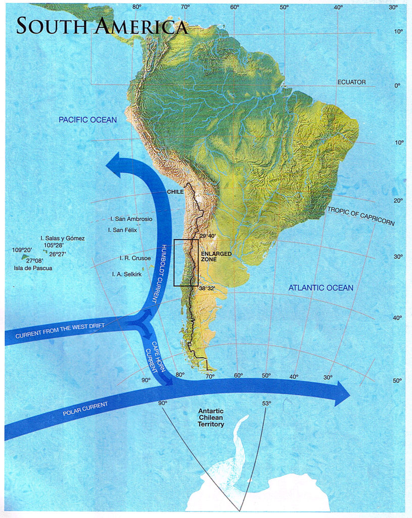 Холодные течения омывающие южную америку. Южная Америка перуанское течение. Перуанское течение на карте. Перуанское течение на карте Южной Америки. Холодные течения перуанское.