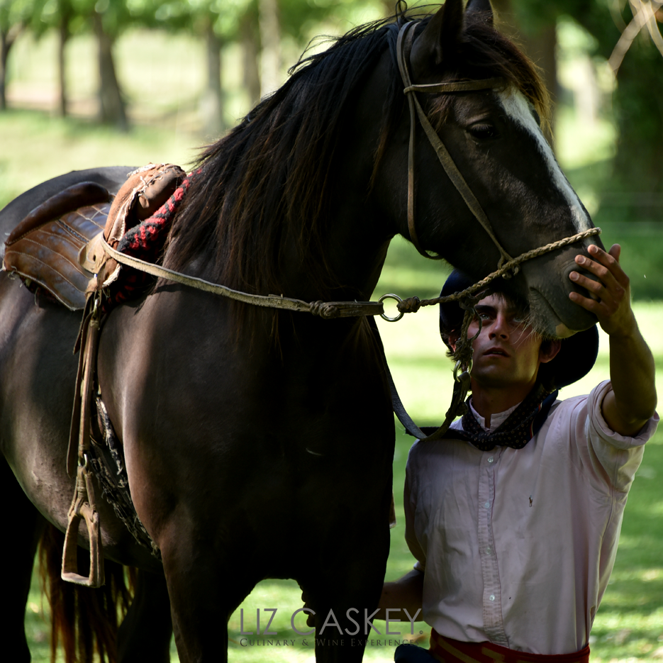Argentina_Horses_15