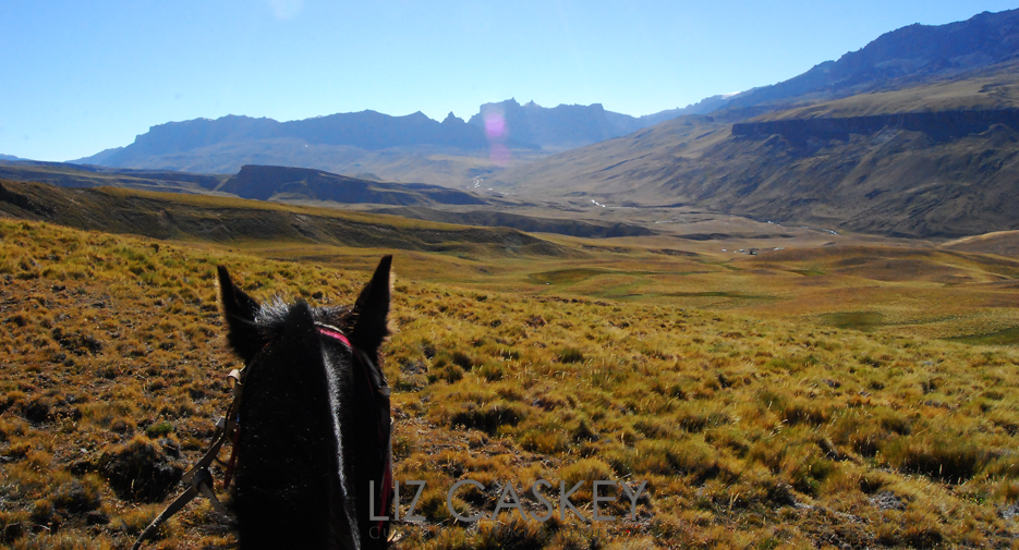 Chile_Horses_01