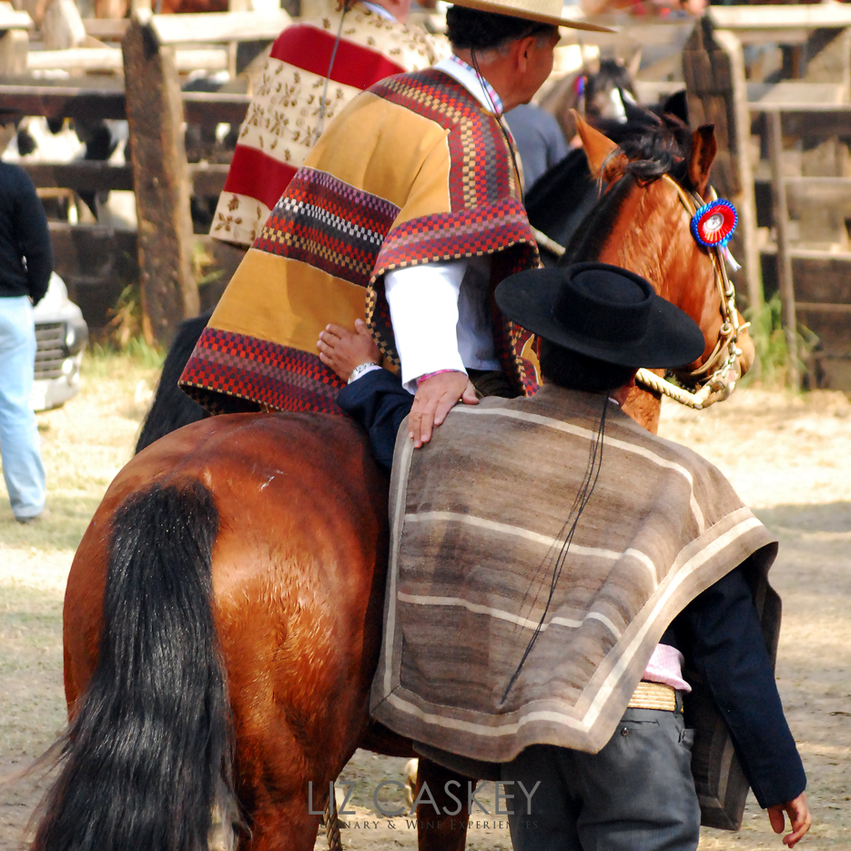 Chile_Horses_03b