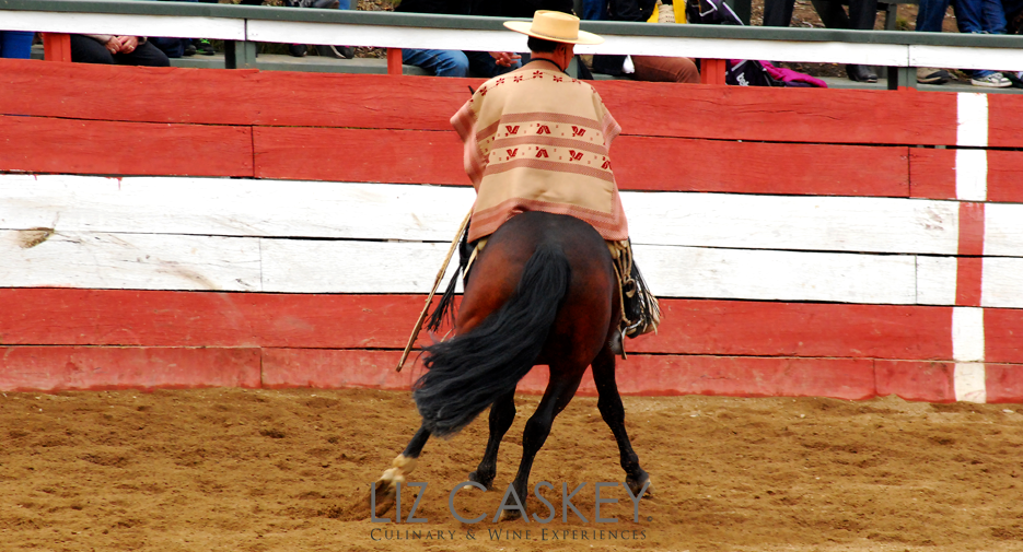 Chile_Horses_12