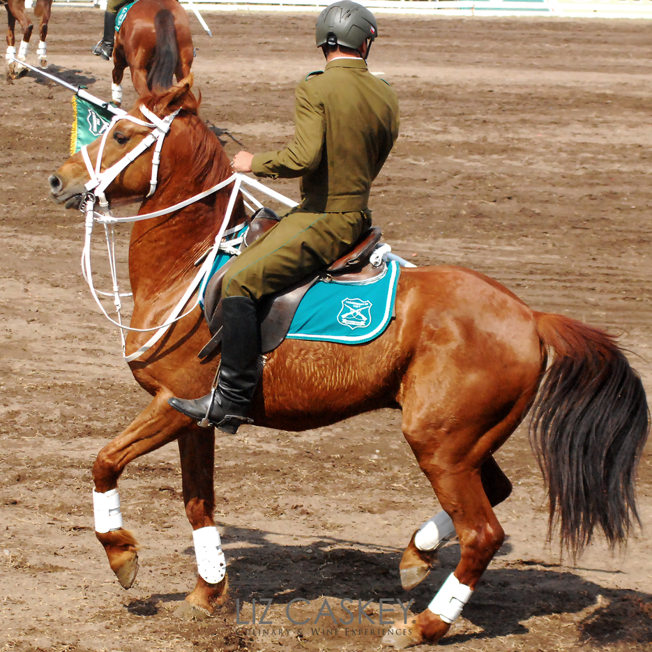 Chile_Horses_17