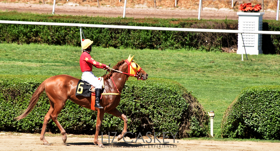 Chile_Horses_33