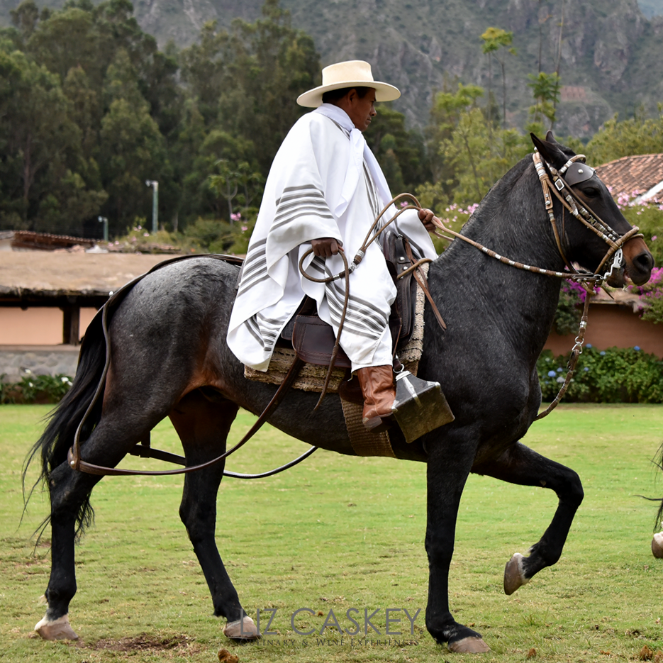 Peru_Horses_01
