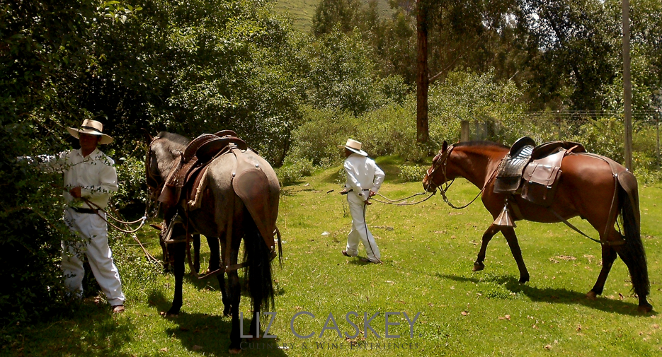 Peru_Horses_04