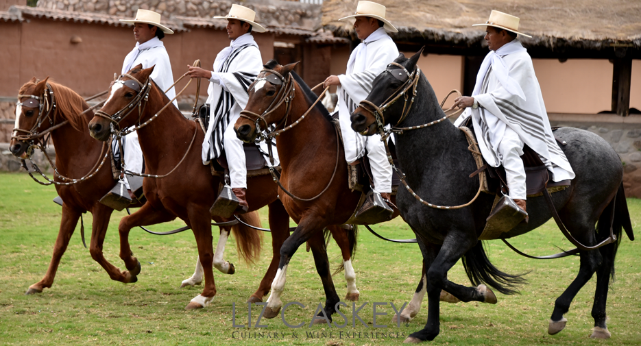 Peru_Horses_05