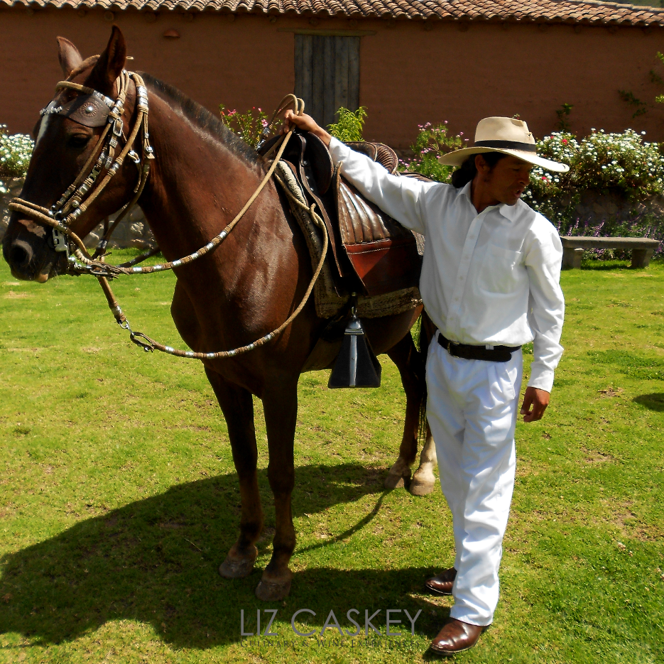 Peru_Horses_07