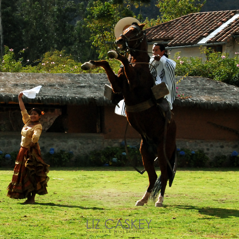 Peru_Horses_08