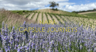 Introducing Napa Capsule Journeys