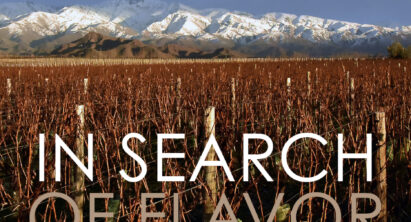 In Search of Flavor, Episode 12: From Wine Lover to Winemaker, with Michael Evans of The Vines of Mendoza