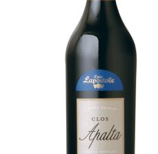 Wine of the Year 2008: Clos Apalta