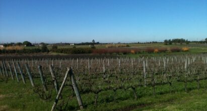 On the Radar: Uruguayan Wine Country